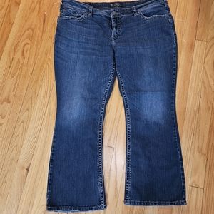Silver Suki Surplus Jeans